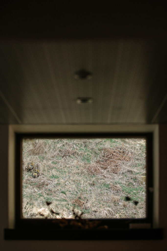 © P-mod photographies