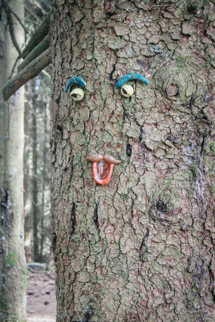 2026-05-02_en-foret@camille-ADLV_003