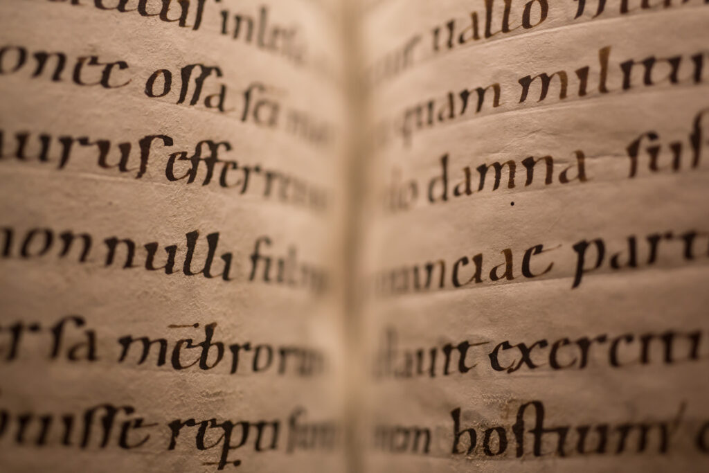 Bibliothèque Humaniste, salle d’exposition permanente au premier étage : détail du manuscrit qui contient les Annales de Fulda (minuscule caroline sur parchemin, XIe siècle ; BHS, MS.11). Il s'agit d’un ouvrage donné par Jean Fabri, chapelain de l'église Saint-Georges, originaire de Sélestat. Suivant l'exemple d'autres ecclésiastiques sélestadiens, Jean Fabri contribua à enrichir la Bibliothèque paroissiale. Aujourd'hui, celle-ci constitue avec celle de Beatus Rhenanus, le fonds précieux de la Bibliothèque Humaniste.