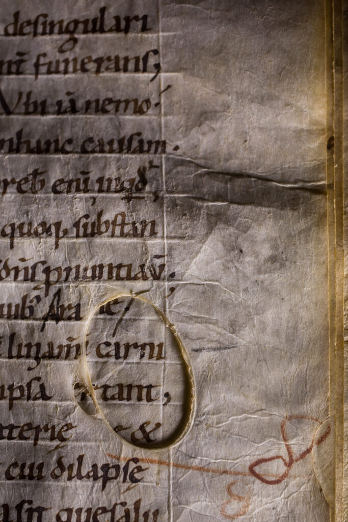 Bibliothèque Humaniste, salle d’exposition permanente au premier étage : détail du codex Paterniacensis de Tertullien (XIe siècle, BHS. MS.88), un manuscrit où le texte est rédigé en minuscule caroline sur du parchemin présentant un trou apparu lors de la fabrication du parchemin quand la peau humide est tendue sur un cadre en bois et séchée au soleil. Cette prise de vue permet également de découvrir la réglure, c’est à dire l'ensemble des lignes tracées sur la feuille pour faciliter l'écriture. Il y a également une trace laissée par l’imprimeur qui a travaillé à la césure du texte pour l’impression de celui-ci.