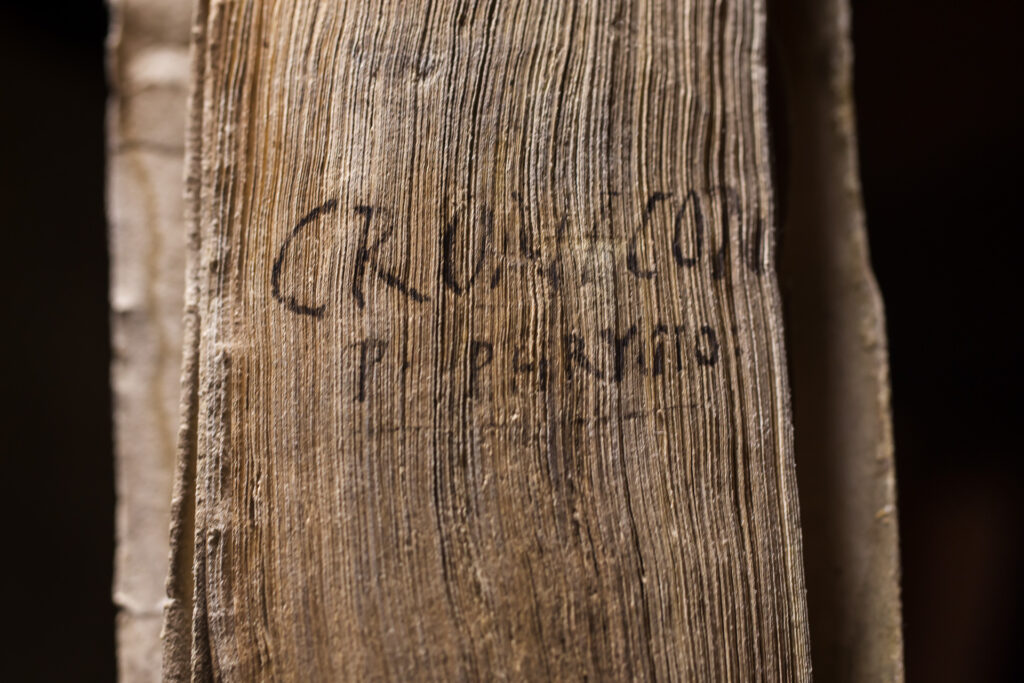 Bibliothèque Humaniste, salle d’exposition permanente au premier étage : détail de la tranche d’un livre imprimé au XVIe siècle indiquant son titre, son auteur et une date. L'emplacement de cette inscription témoigne de la manière dont les ouvrages étaient souvent disposés à cette époque, dans les rayonnages des bibliothèques, le dos contre le mur et la tranche face au lecteur.