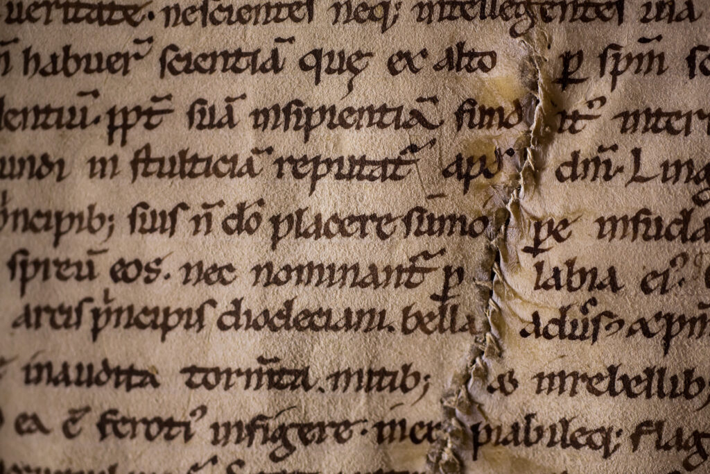 Bibliothèque Humaniste, salle d’exposition permanente au premier étage : détail du Livre des Miracles de Sainte Foy (XIe siècle - XIVe siècle, minuscule caroline sur parchemin ; BHS, MS.22). Ce détail met en évidence une déchirure recousue par le copiste qui a apprêté le parchemin avant de procéder à la copie du texte.
