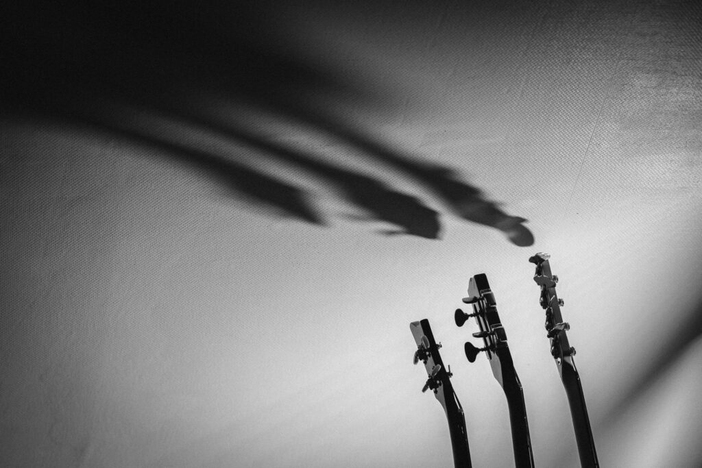 © P-mod photographies